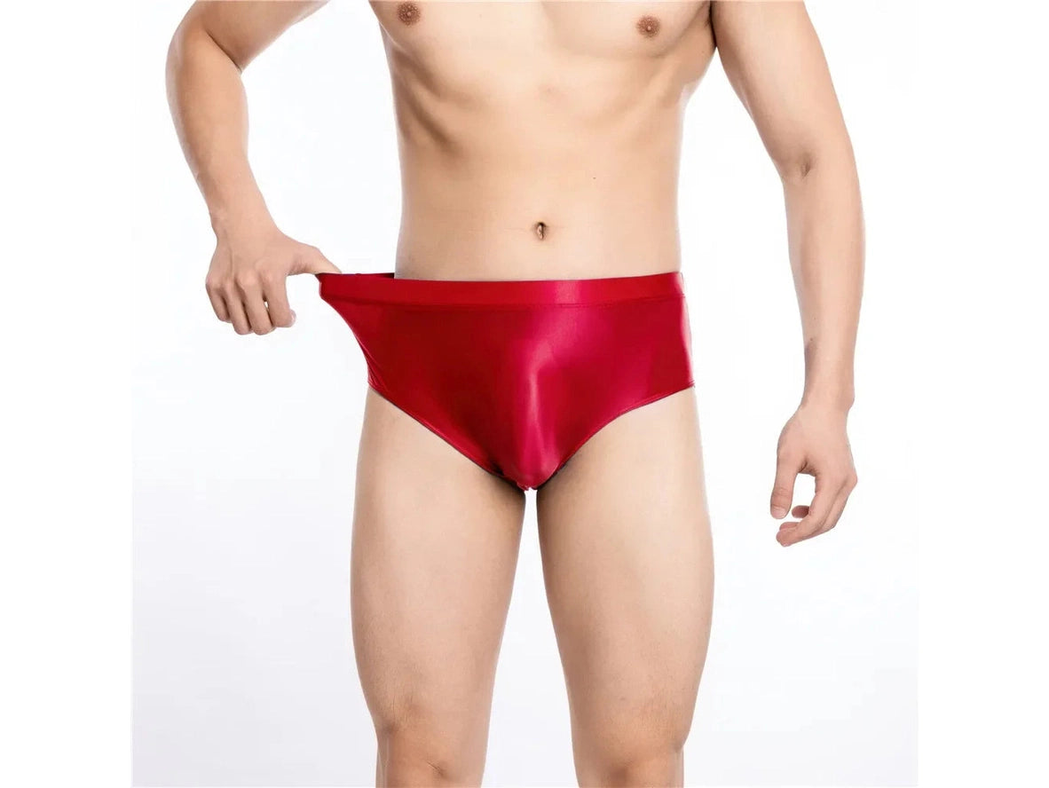 Gay Briefs | Glossy Underwear Briefs