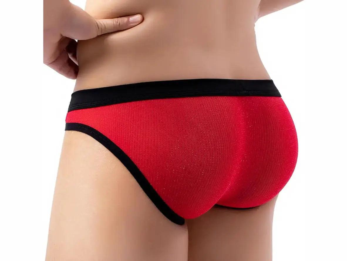 Gay Briefs | Low-Rise Thin Mesh Briefs