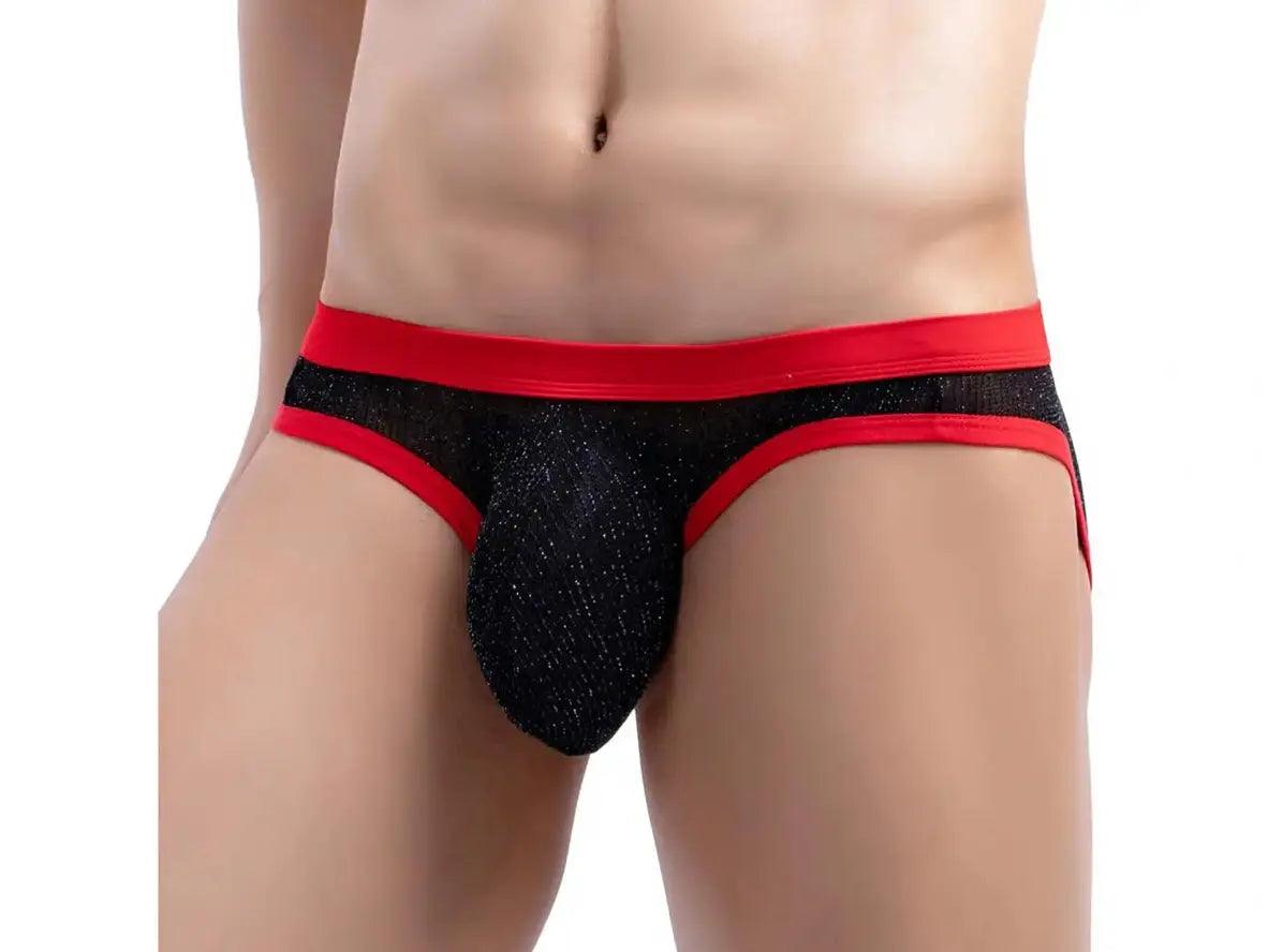 Gay Briefs | Low-Rise Thin Mesh Briefs