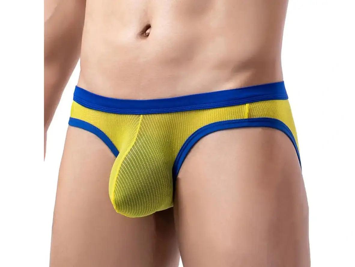 Gay Briefs | Low-Rise Thin Mesh Briefs