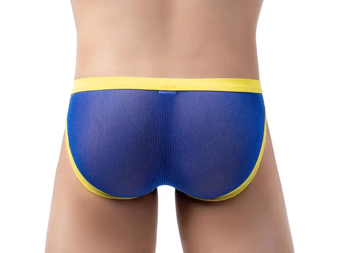 Gay Briefs | Low-Rise Thin Mesh Briefs