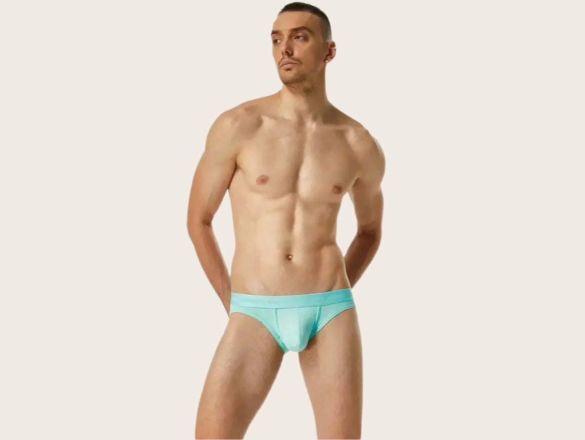 Gay Briefs | SEOBEAN Pure Color Sexy Briefs