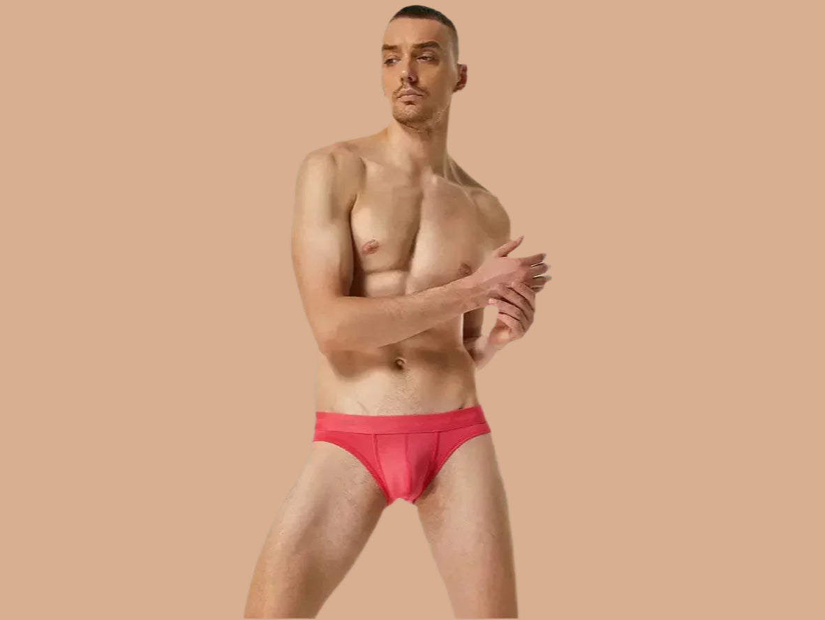 Gay Briefs | SEOBEAN Pure Color Sexy Briefs
