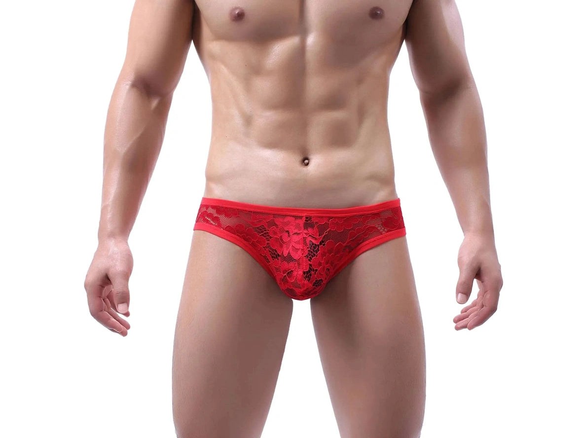 Gay Briefs | Sexy Lace Transparent Briefs