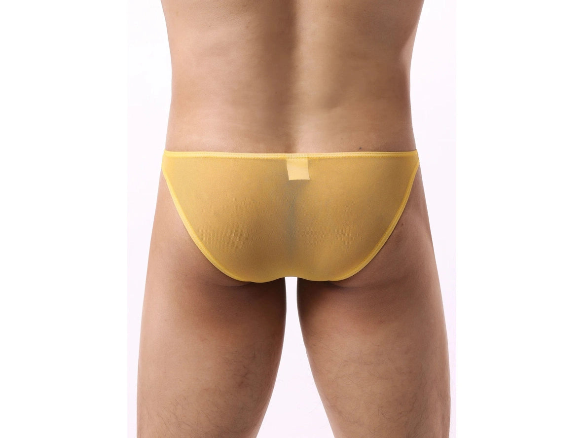 Gay Briefs | Sexy Mesh Transparent Briefs