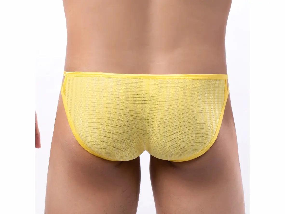 Gay Briefs | Sexy Mini Mesh Underwear Briefs