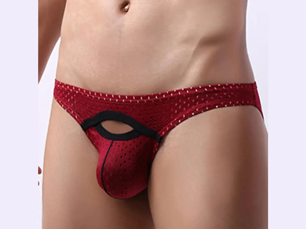 Gay Briefs | Sexy Pouch Mesh Briefs