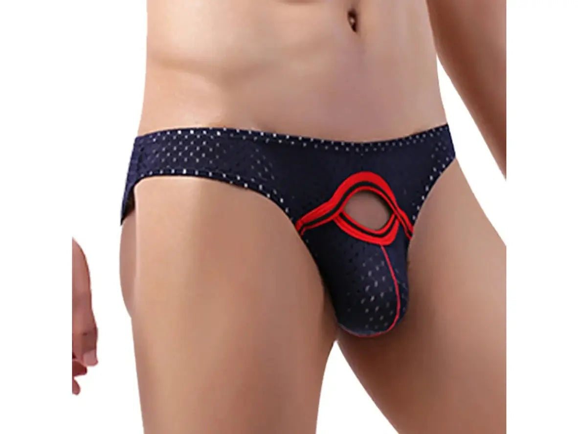 Gay Briefs | Sexy Pouch Mesh Briefs
