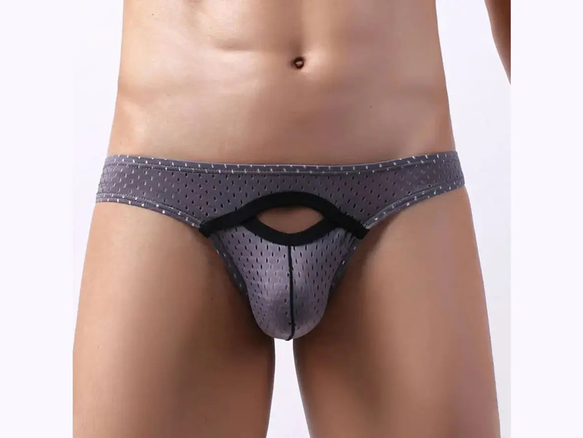 Gay Briefs | Sexy Pouch Mesh Briefs
