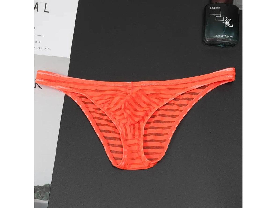 Gay Briefs | Sheer Sexy Transparent Briefs