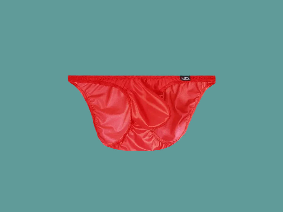Gay Briefs | Shiny Party Briefs
