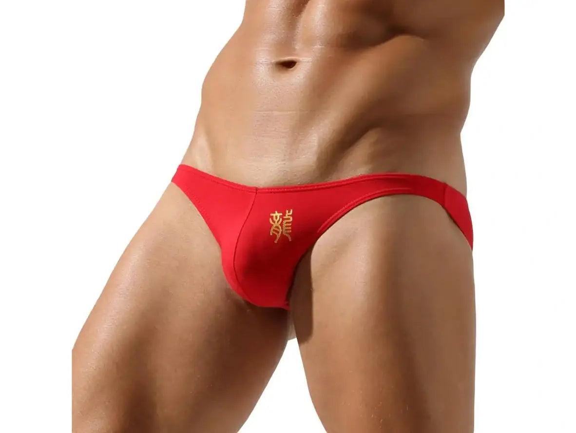 Gay Briefs | TAUWELL Cotton Dragon Underwear Briefs