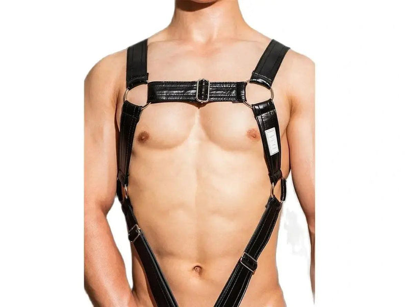 Body Control – D.M Gay Harness