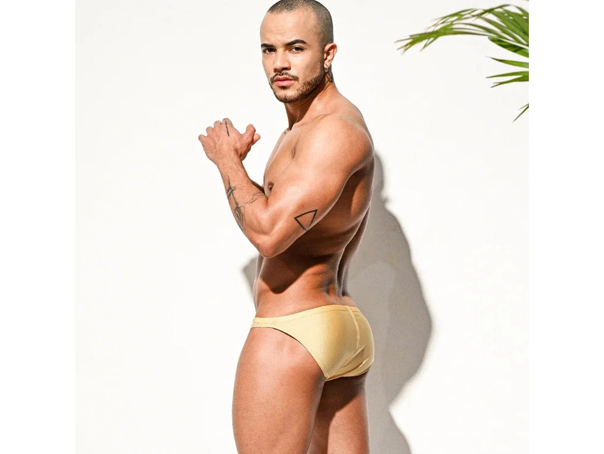 Gay Swim Briefs | DESMIIT Pure Color Swim Briefs