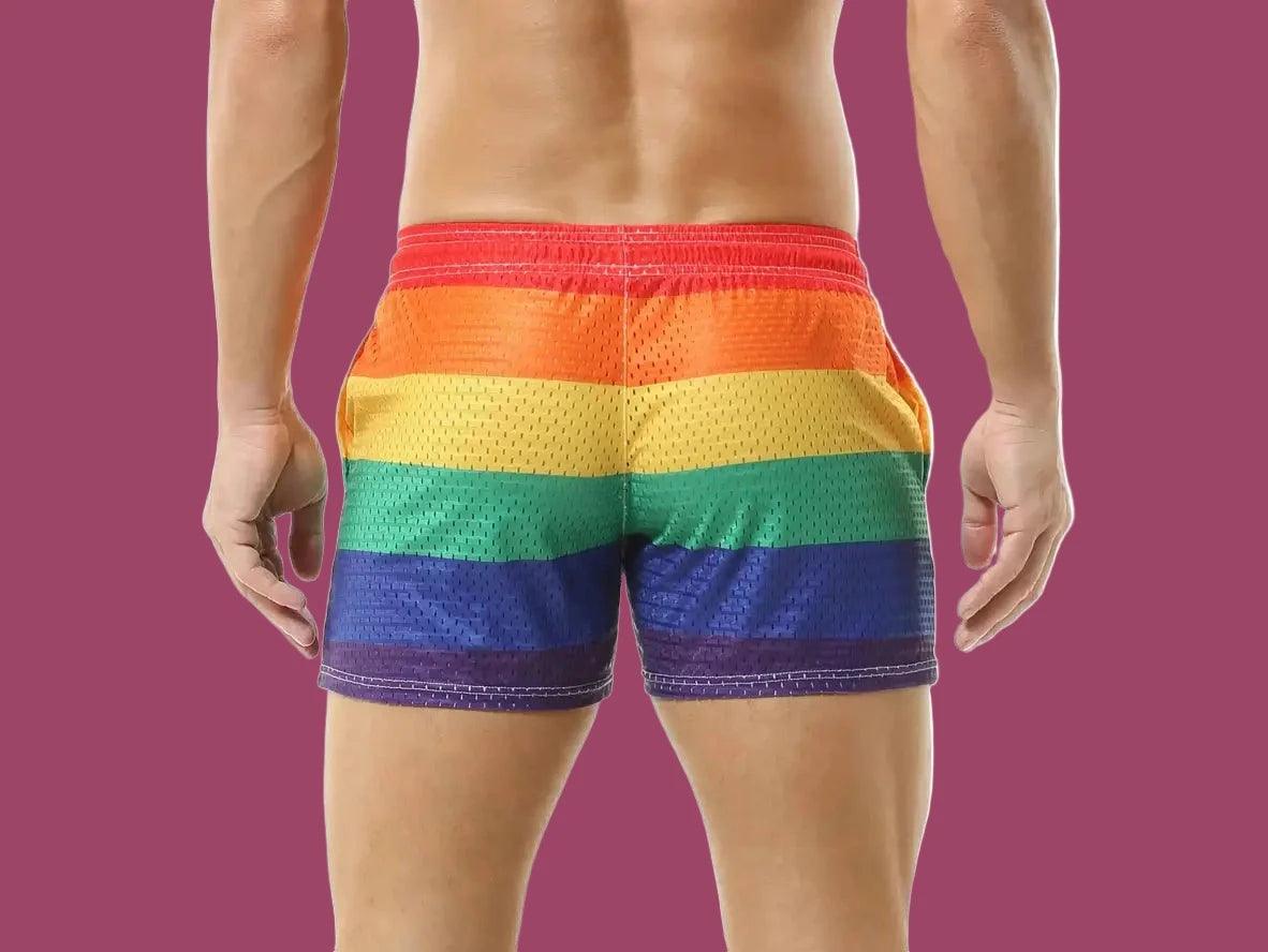 CHECK - Gay Swim Shorts | CLEVER-MENMODE Rainbow Mesh See Through Shorts