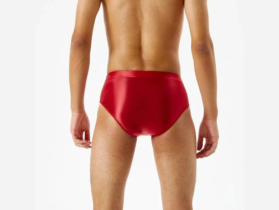 Lustre Rise – Shiny Smooth Gay Briefs
