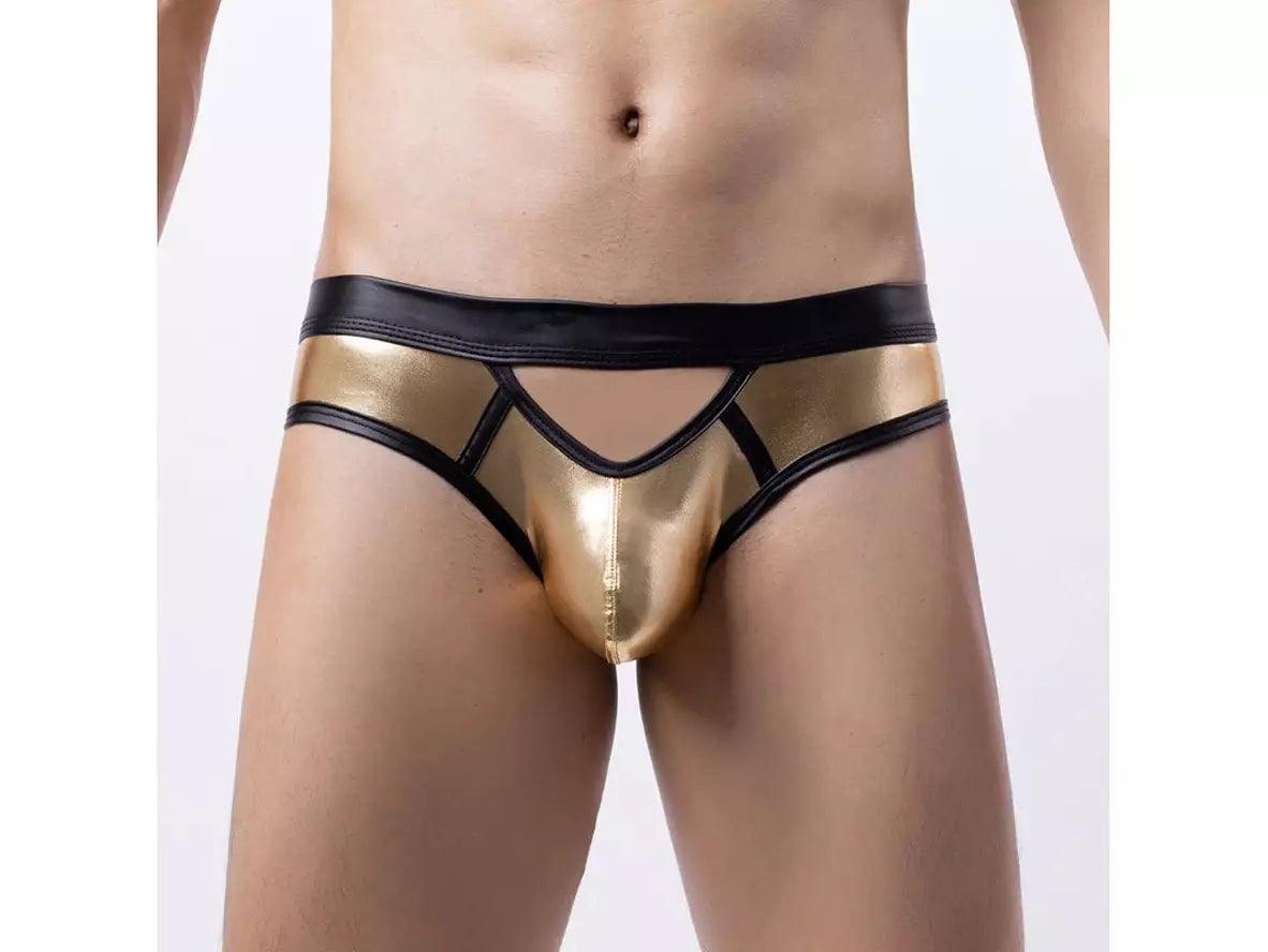 Luxe Shine – Gay Briefs