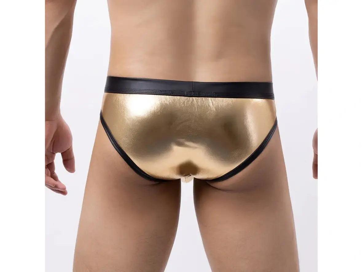 Luxe Shine – Gay Briefs