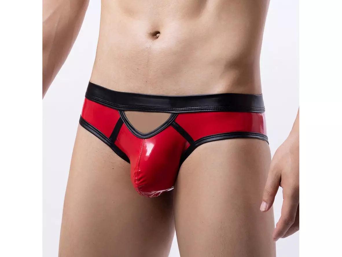 Luxe Shine – Gay Briefs
