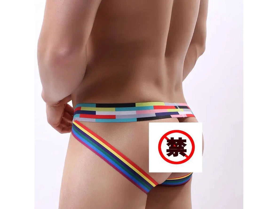 Back view of men's jockstrap showing rainbow side straps and patchwork waistband