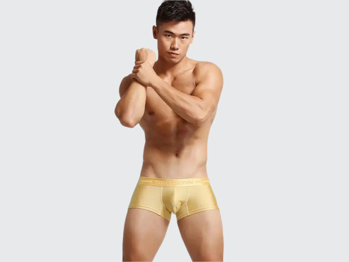 Power Fit – SEOBEAN Contour Gay Boxer Briefs