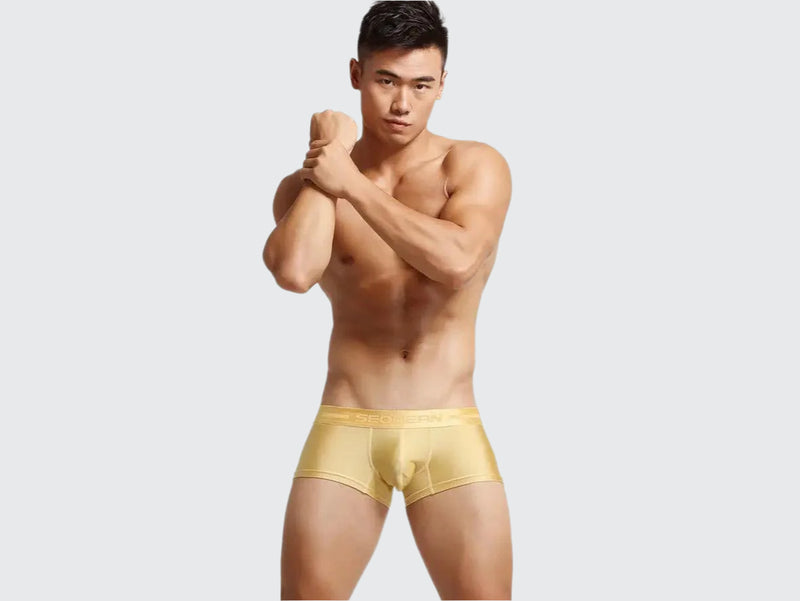 Power Fit – SEOBEAN Contour Gay Boxer Briefs