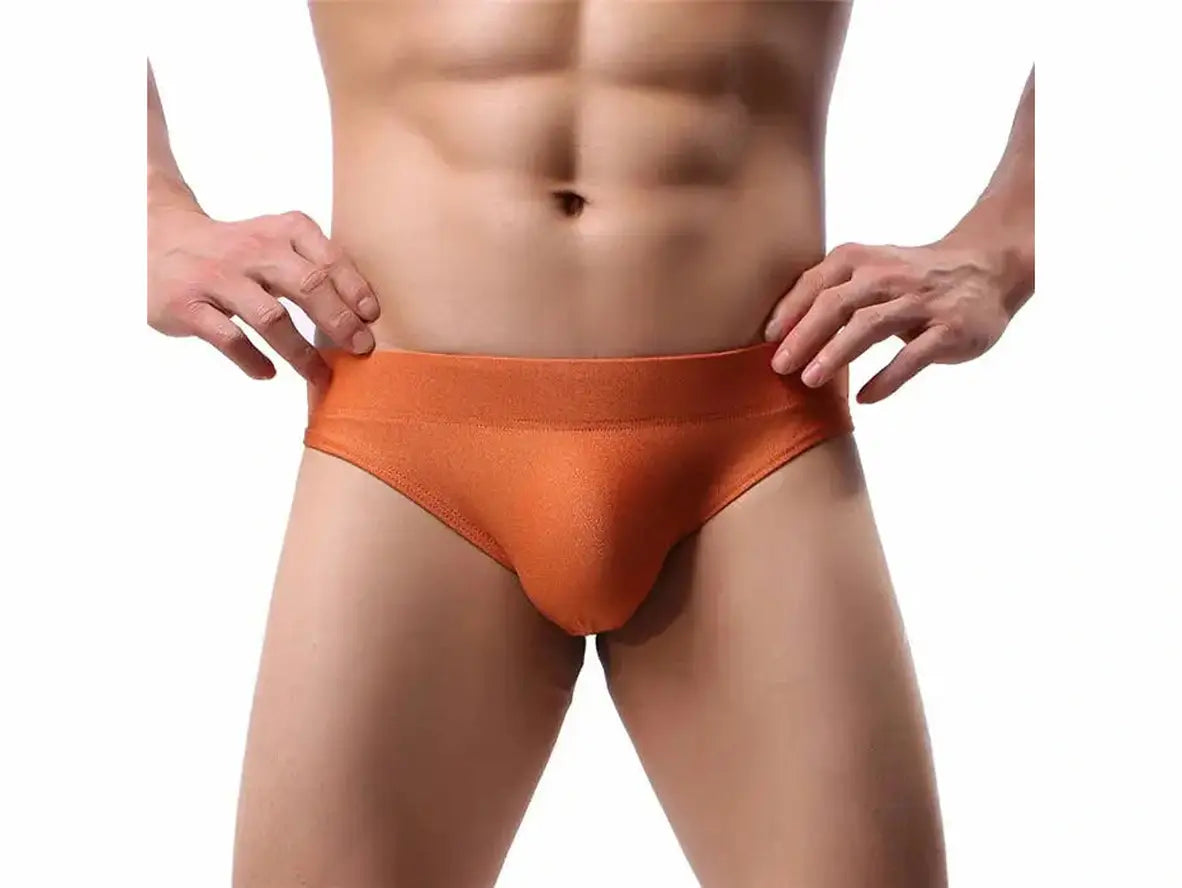 Pure Desire – Gay Briefs