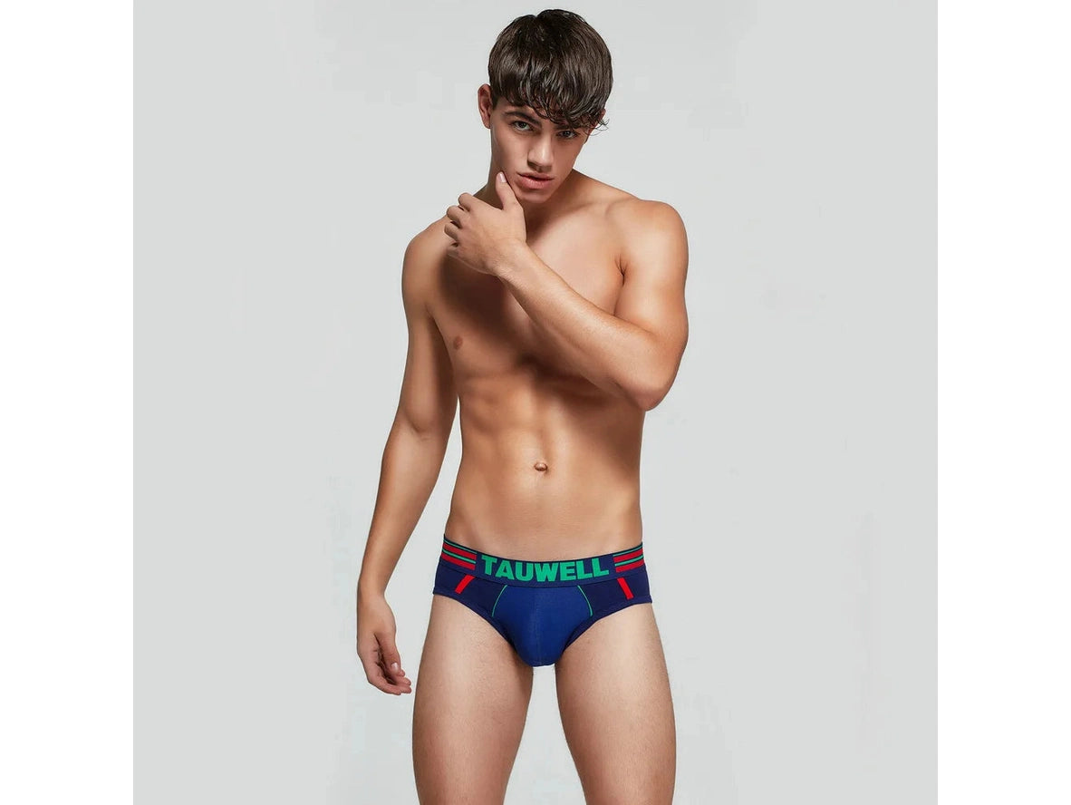 Pure Stretch — TAUWELL Cotton Gay Briefs