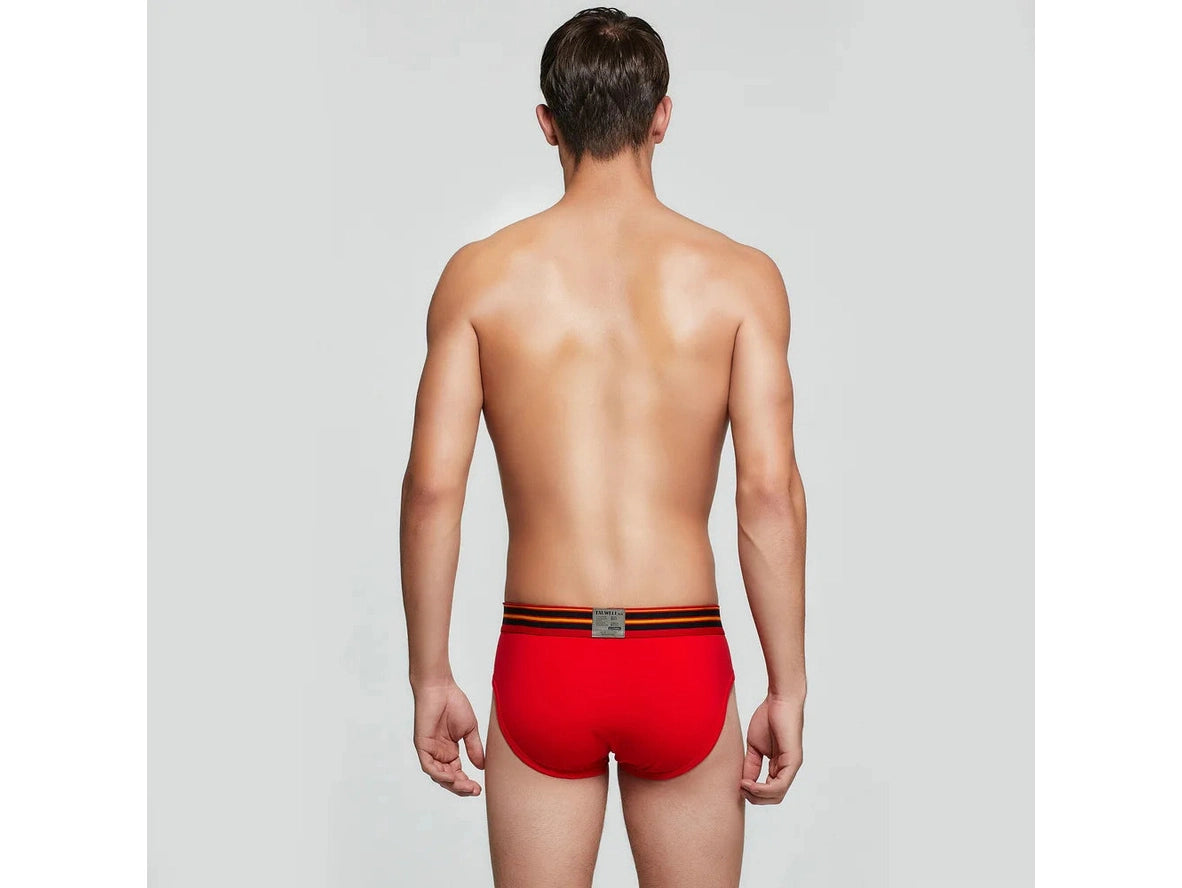 Pure Stretch — TAUWELL Cotton Gay Briefs