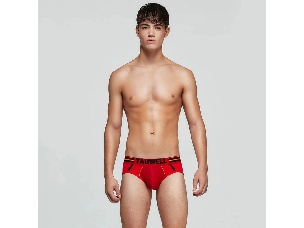 Pure Stretch — TAUWELL Cotton Gay Briefs