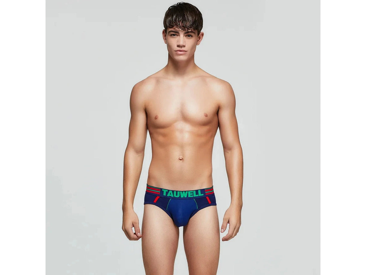 Pure Stretch — TAUWELL Cotton Gay Briefs