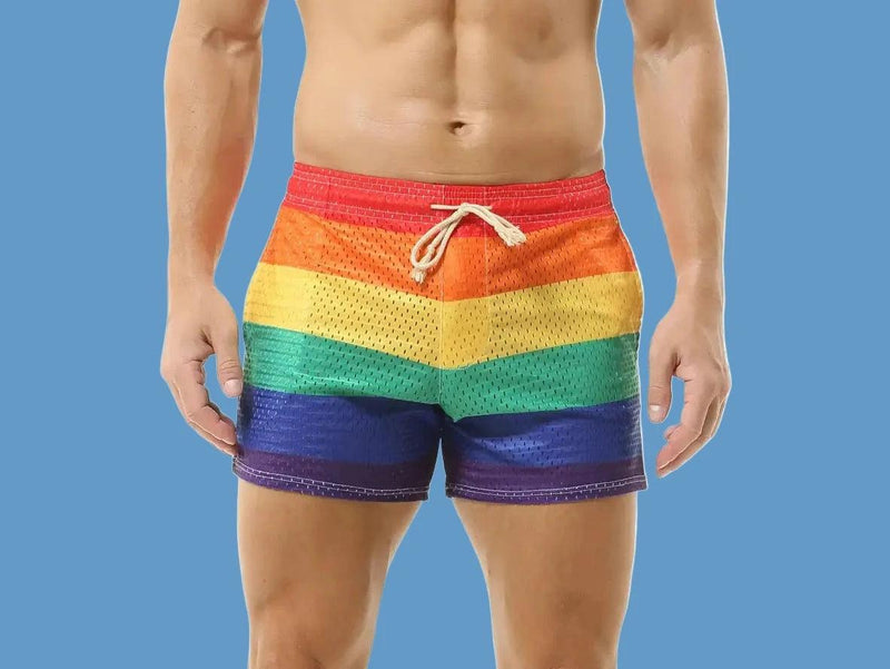 CHECK - Gay Swim Shorts | CLEVER-MENMODE Rainbow Mesh See Through Shorts