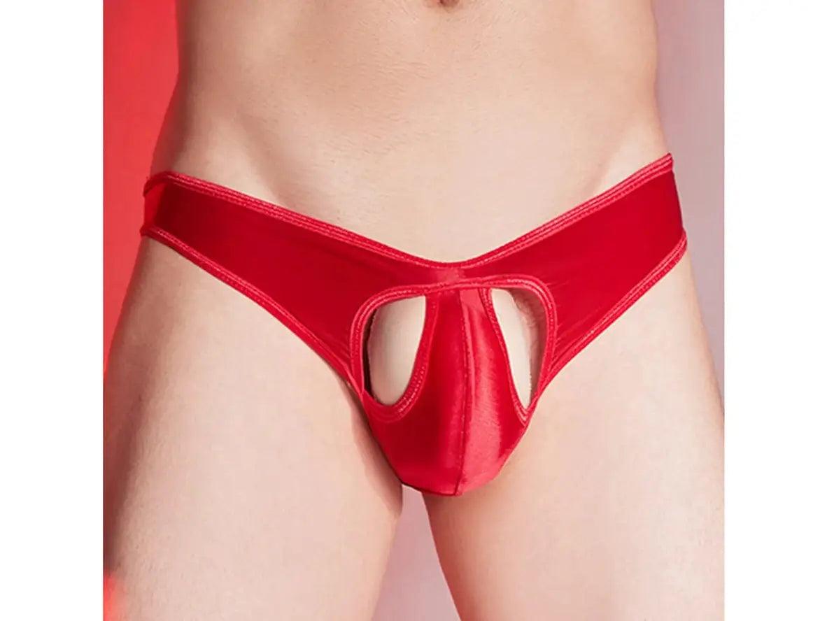 Shadow Tease – Gay Shiny Briefs