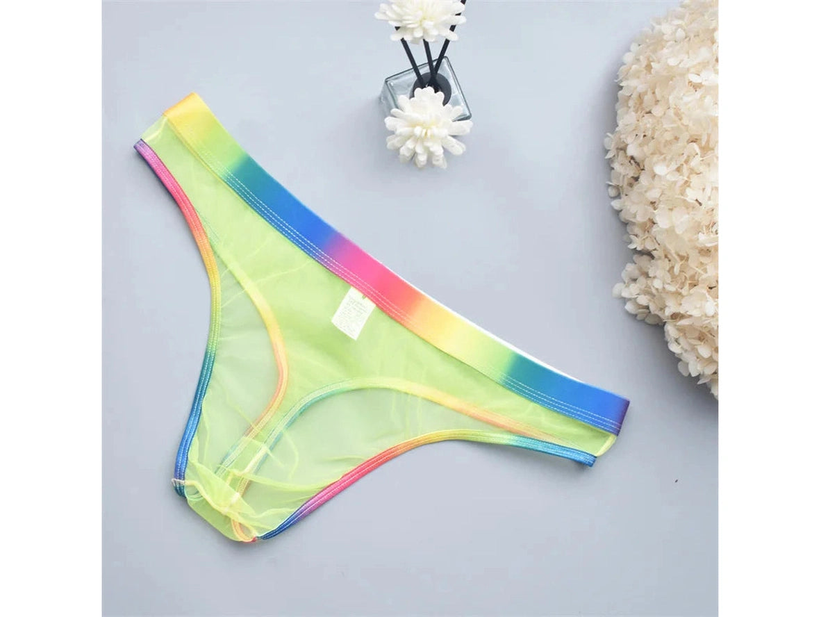 Sheer Motion – Transparent Micro Mesh Gay Thong