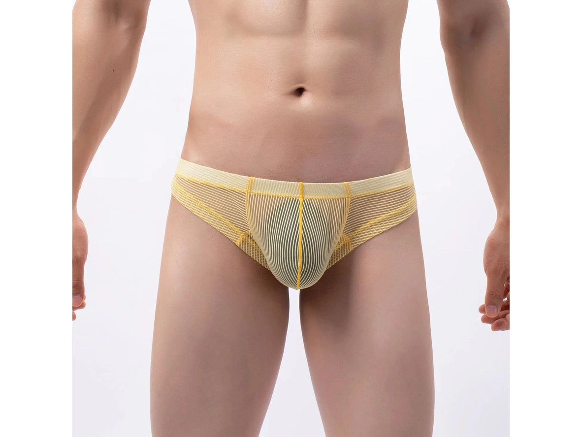 Stripe Sheer – Cheeky Gay Thong