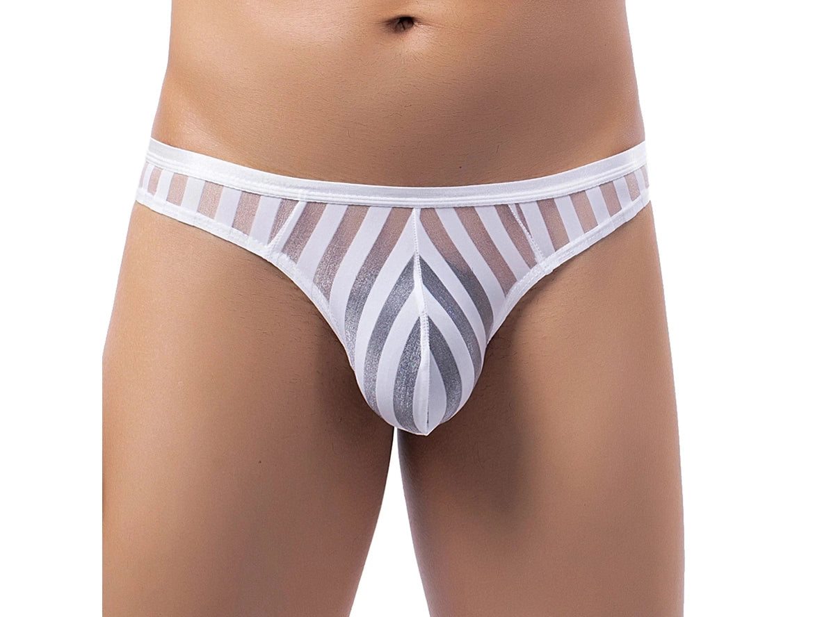 Stripe Tease – Sheer Mesh Gay Thong