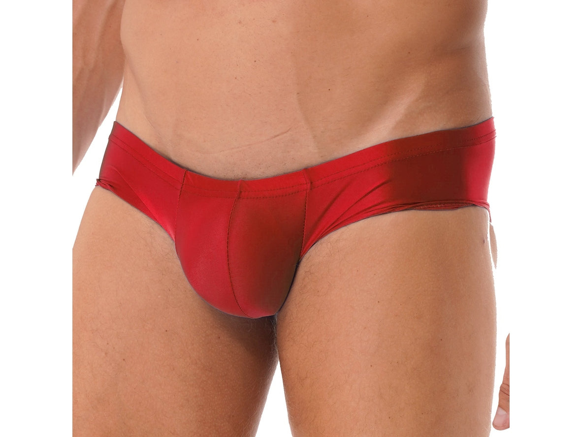 Ultra Smooth – Stretch Shiny Gay Briefs