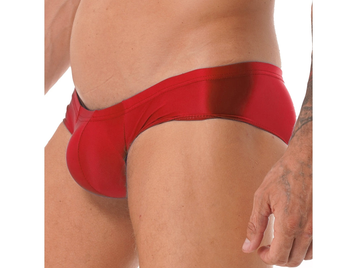 Ultra Smooth – Stretch Shiny Gay Briefs