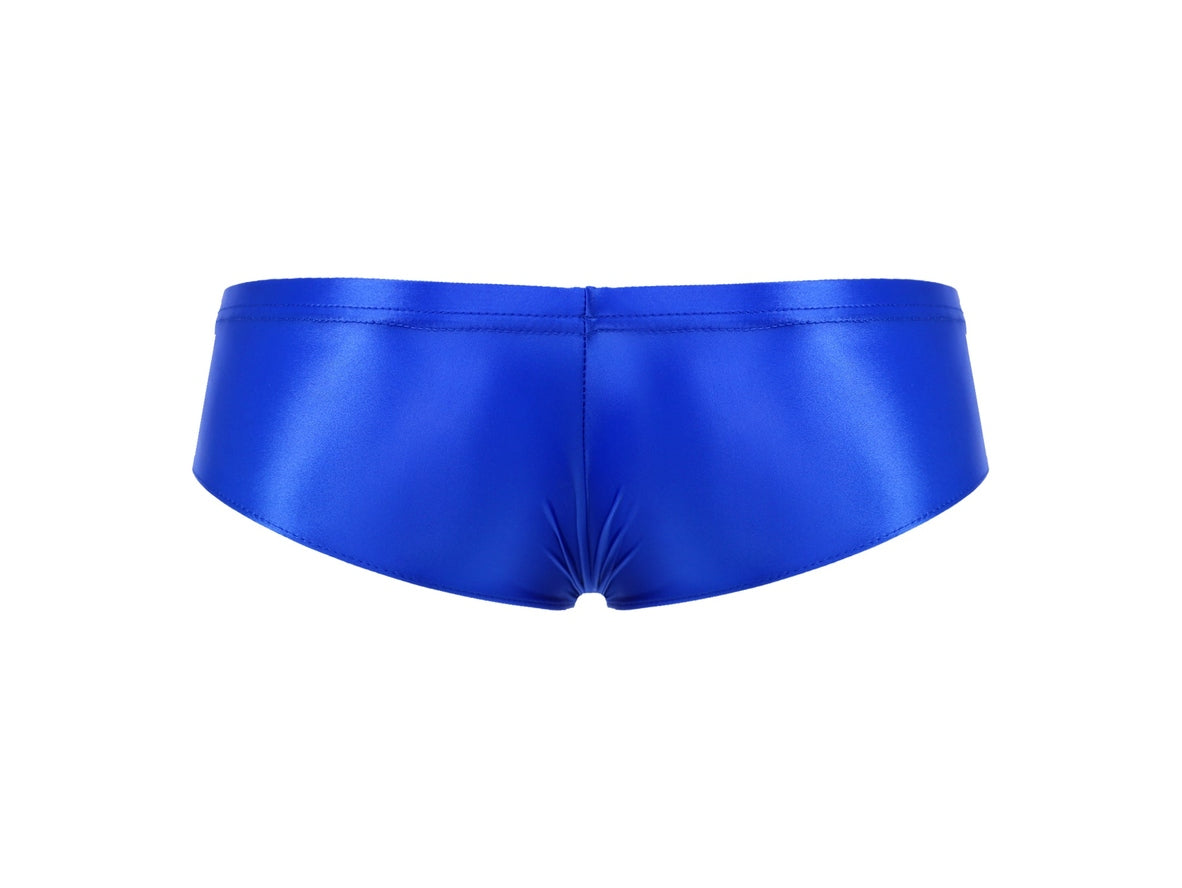 Ultra Smooth – Stretch Shiny Gay Briefs