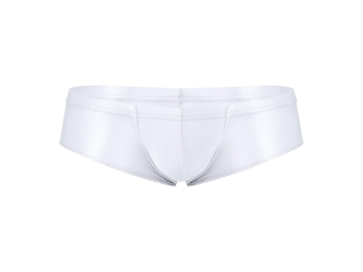 Ultra Smooth – Stretch Shiny Gay Briefs