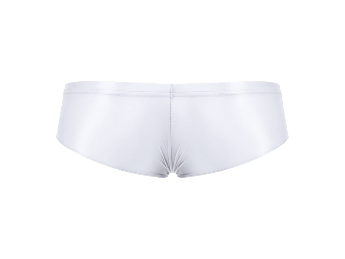 Ultra Smooth – Stretch Shiny Gay Briefs