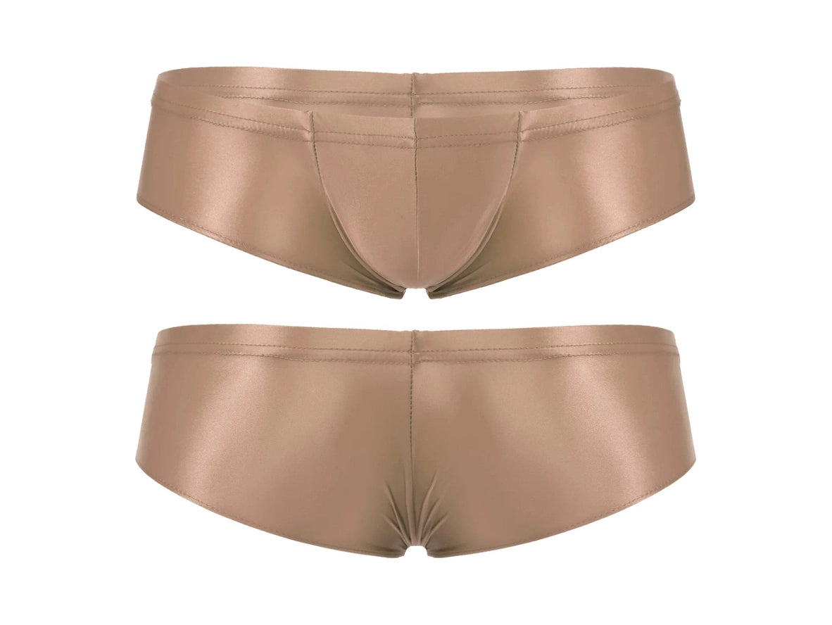 Ultra Smooth – Stretch Shiny Gay Briefs
