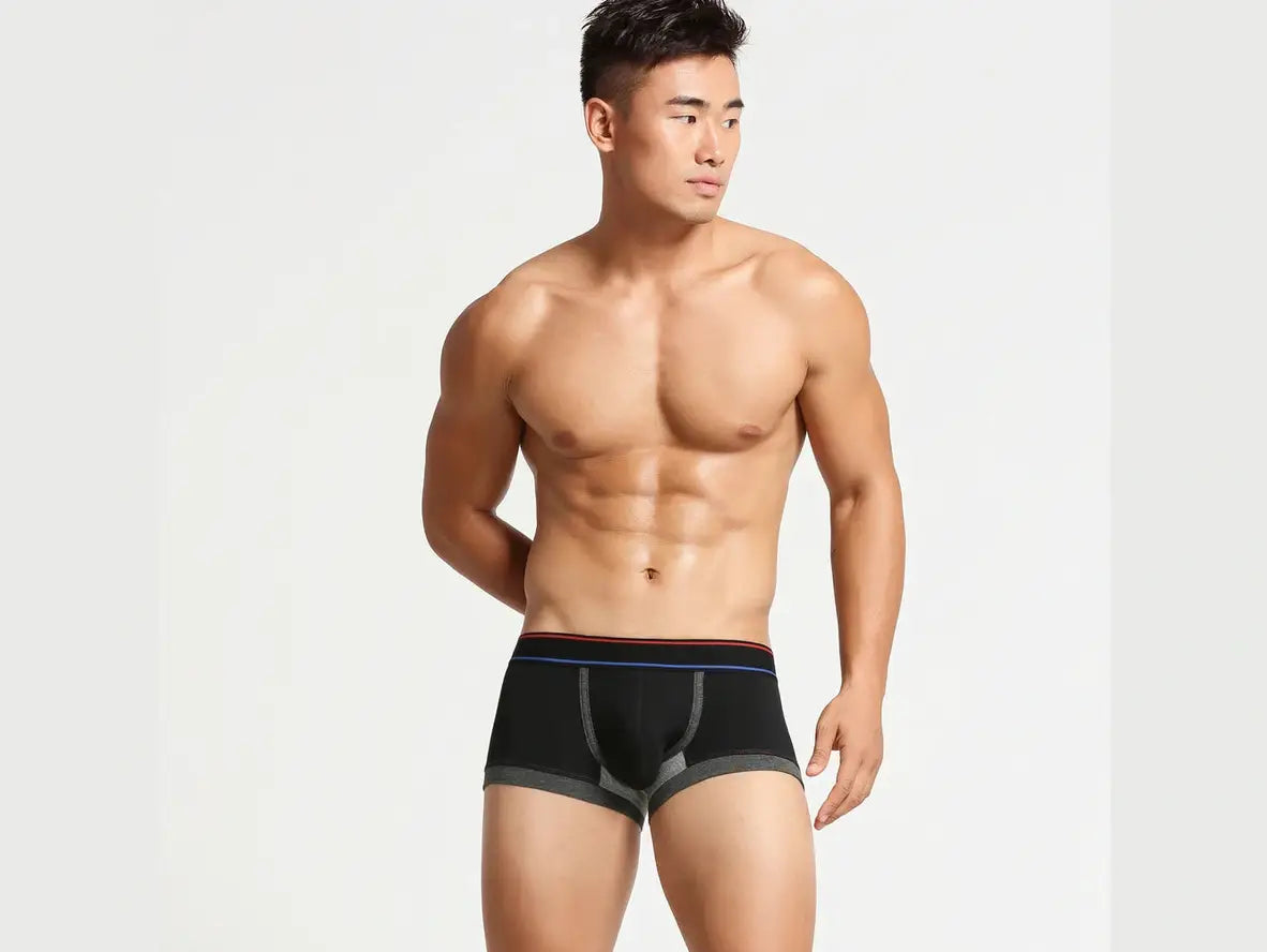 Urban Pop – SEOBEAN Athletic Gay Boxer Briefs