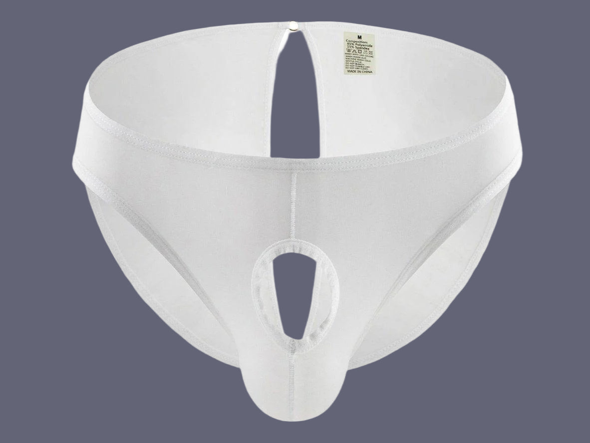 Arctic Glide — Ice Silk Gay Jock Briefs
