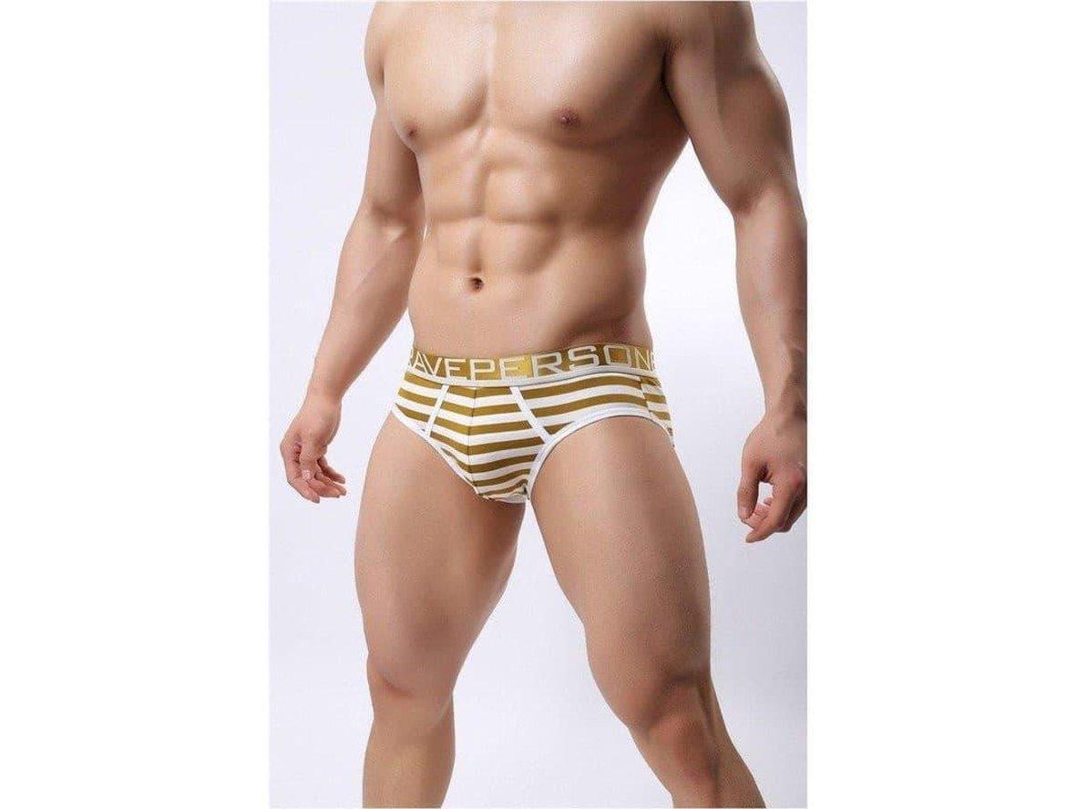 Coastal Stripe – Cotton Stretch Gay Briefs
