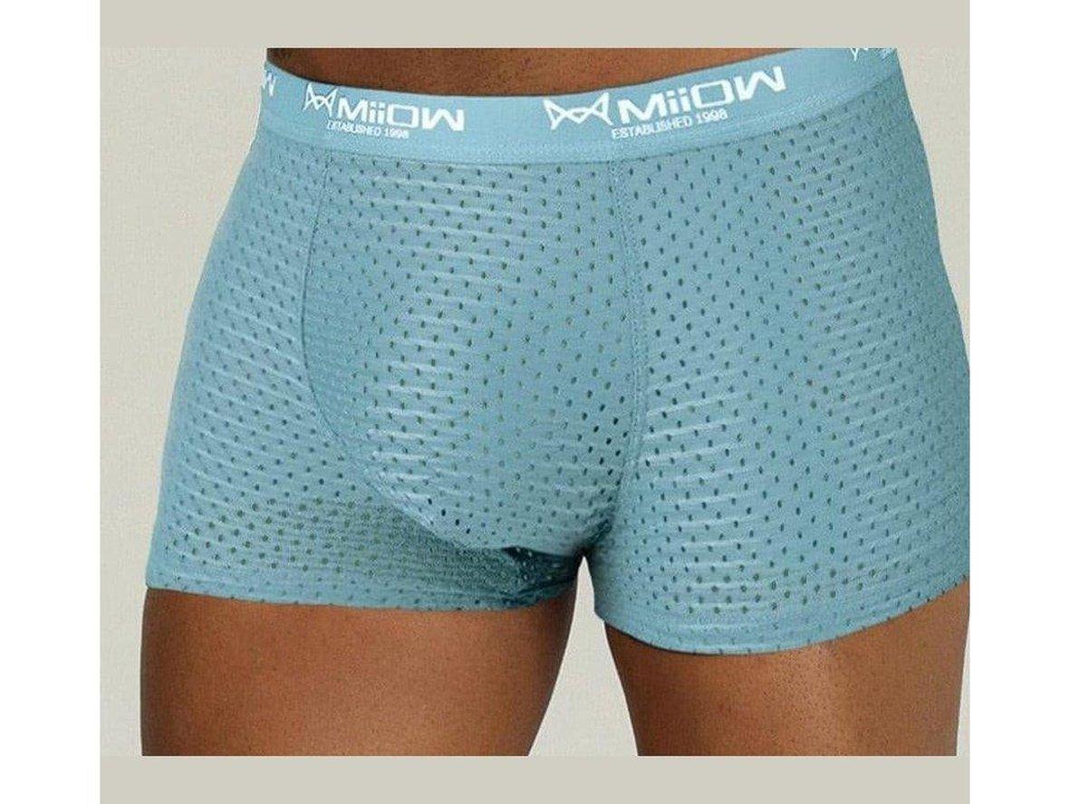 Gay Boxer Briefs | MiiOW Underwear Sexy Mesh Boxer Briefs