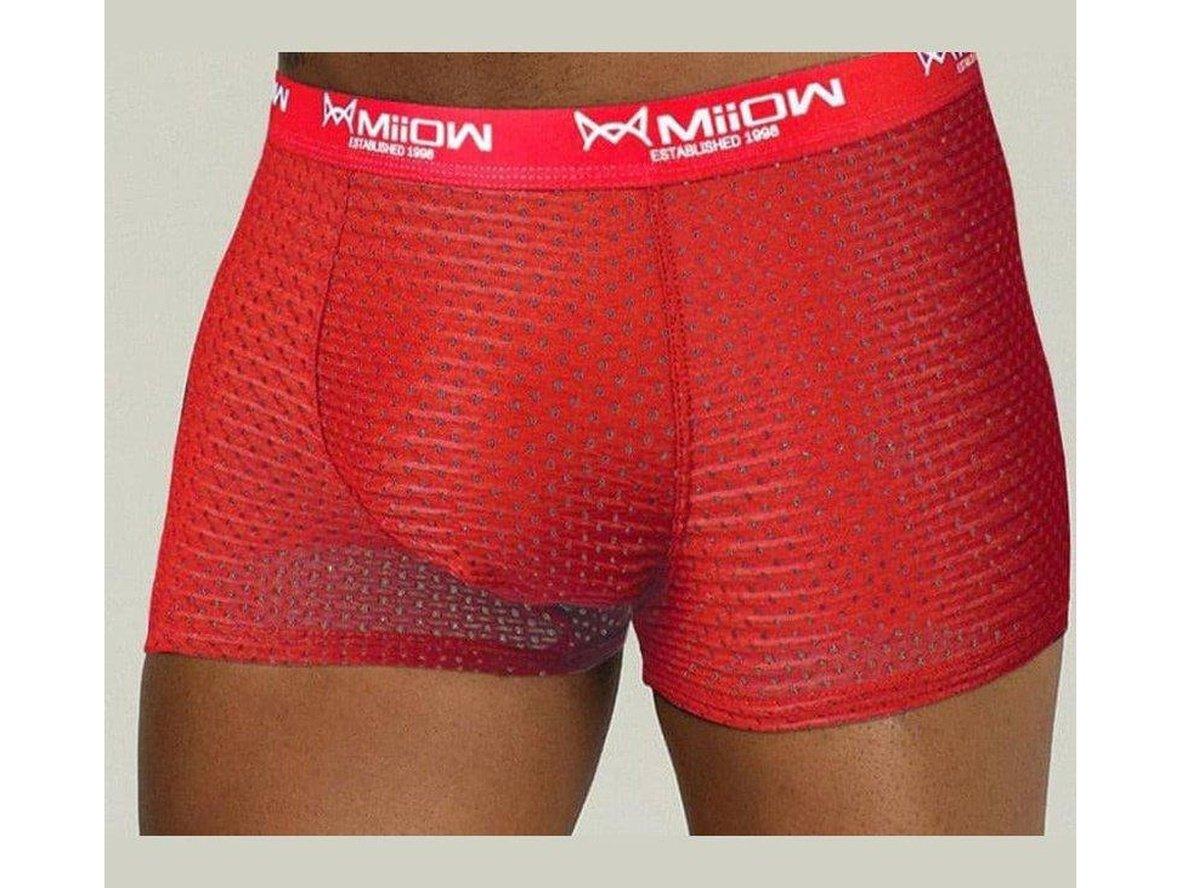 Gay Boxer Briefs | MiiOW Underwear Sexy Mesh Boxer Briefs