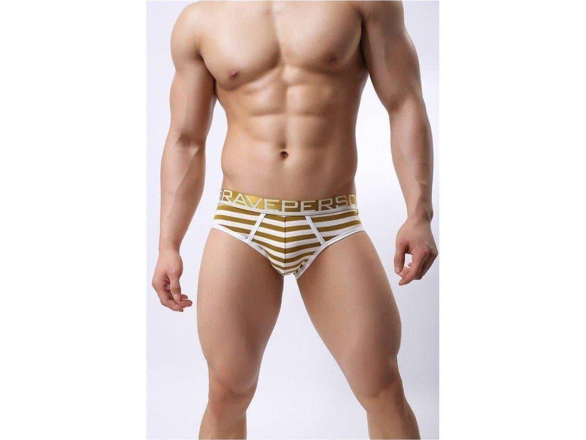 Gay Briefs | BRAVE PERSON Underwear Cotton Stripe Briefs