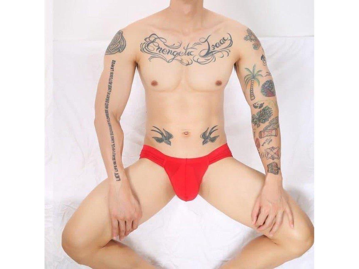Gay Briefs | CLEVER-MENMODE Underwear Ultra-Thin Large Pouch Briefs