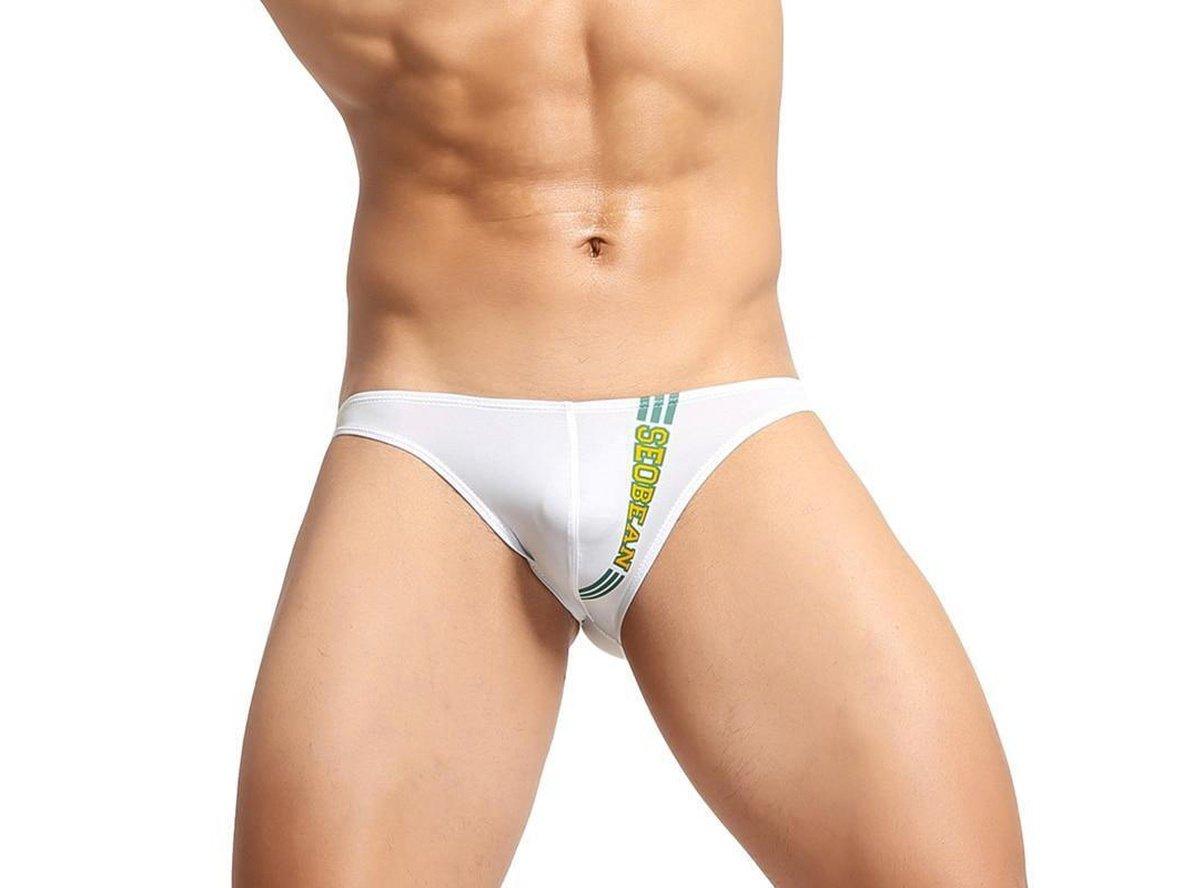 Gay Briefs | SEOBEAN Hot Low-Rise Underwear Briefs
